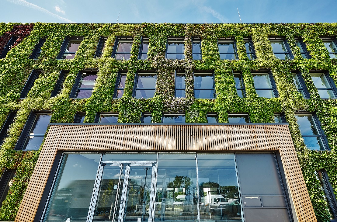 Fassadenbegruenung für ein Gebäude oder Haus im Außenbereich planen und montieren mit lebenden Pflanzen