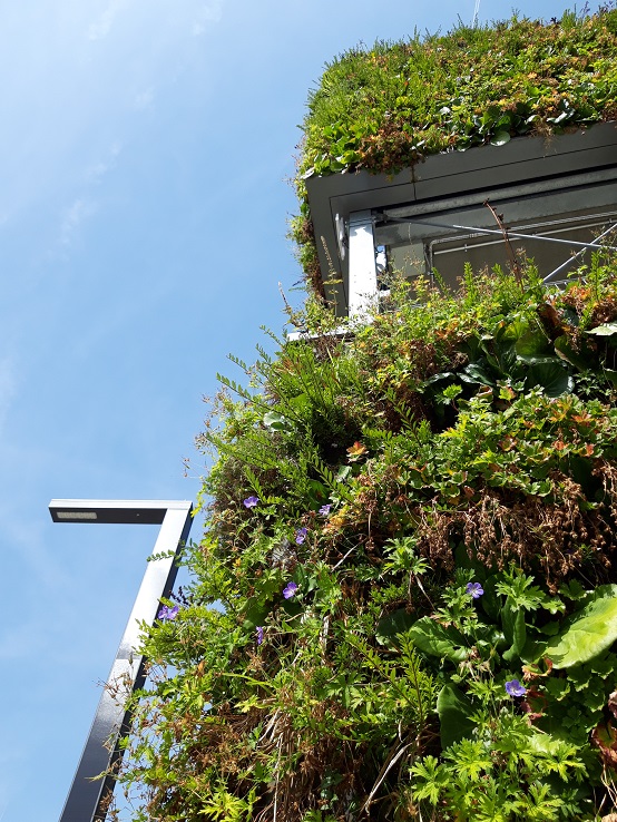 Grüne Pflanzen an der Fassade - Parkhaus Augsburg - planen, kaufen, ausführen Fassadengruen Parkhaus Augsburg planen kaufen ausfuehren