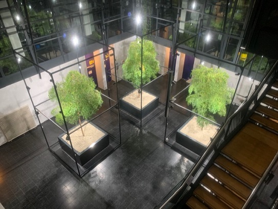 Max Planck Saarbruecken perfekt mit Pflanzenwachstumslicht LED ausgeleuchtet