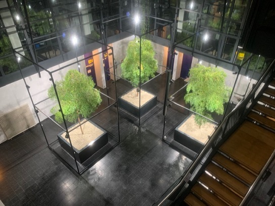 Max Planck Saarbruecken perfekt mit Pflanzenwachstumslicht LED ausgeleuchtet Max Planck Saarbruecken perfekt mit Pflanzenwachstumslicht LED ausgeleuchtet