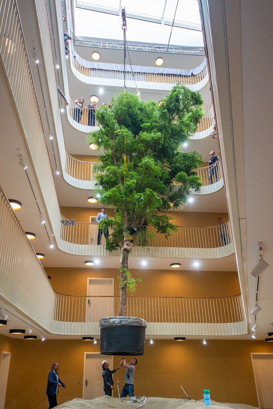 Pflanzenleuchten in jedem Stockwerk grosser baum im raum bucida leipzig