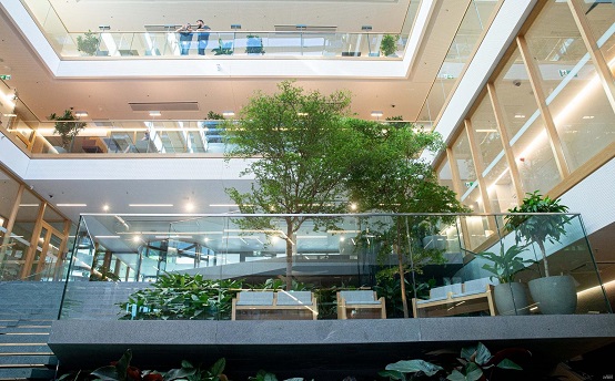 Innenraumbegruenung mit Green-management.org und Botanic International Green management org innenraumbegruenung