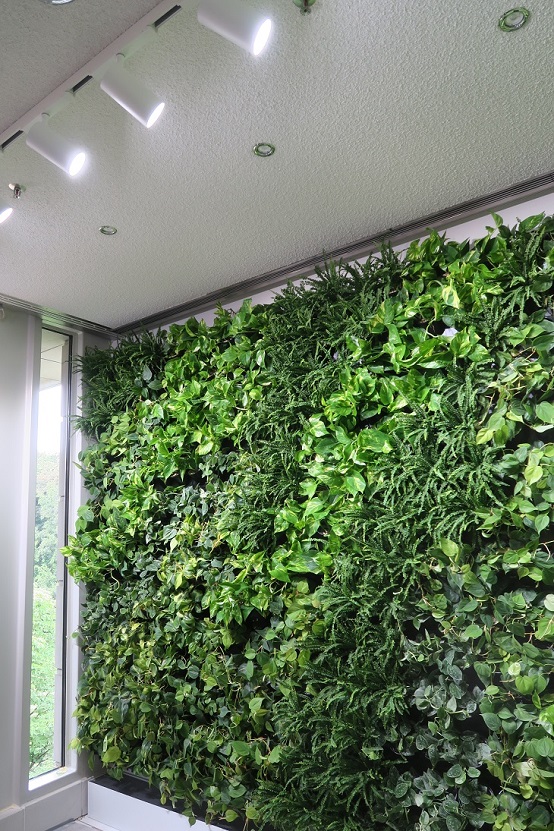 Optimales LED Pflanzenlicht für Greenwall und Innenraumbegruenung                              